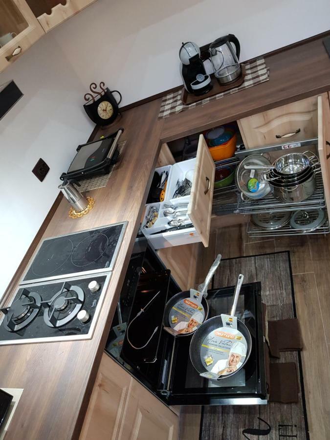 ELLA Apartment Timisoara no9 Timişoara Exterior foto